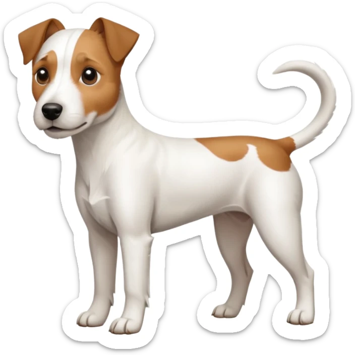 a full body large white parson russell looking dog the size of a kelpie with light brown ears and a light brown patch on one eye and a large snout sticker