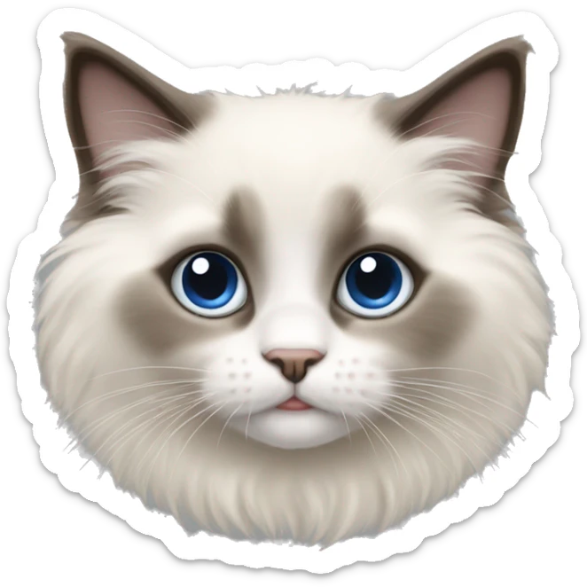 Ragdoll kitten sticker