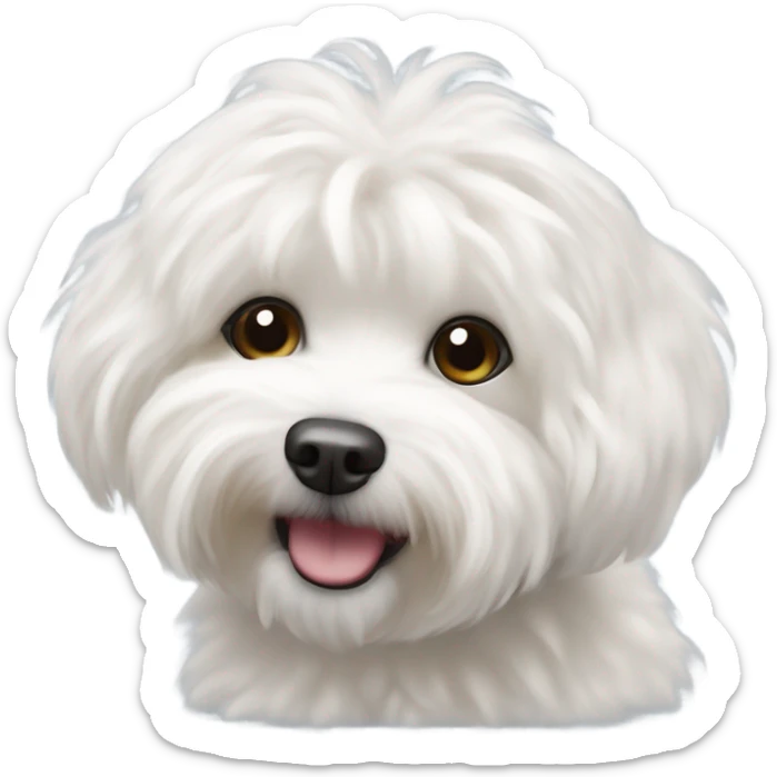 Bichon havanese dog sticker