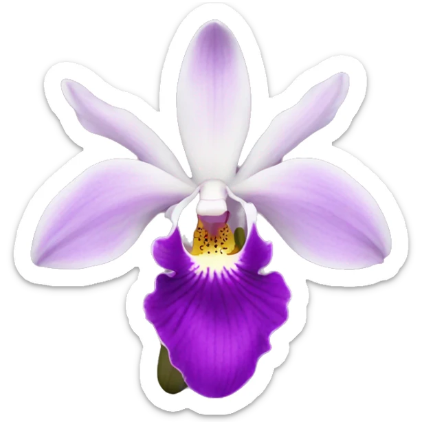 orchid sticker