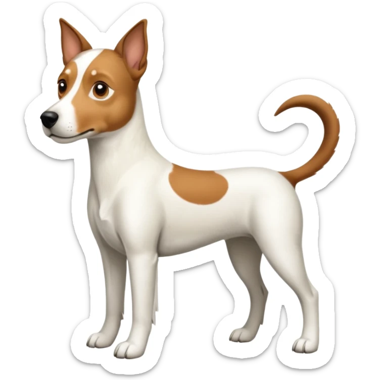 a full body large white parson russell looking dog the size of a kelpie with light brown ears and a light brown patch on one eye and a large snout sticker