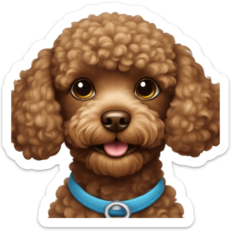 Brown toy poodle  sticker