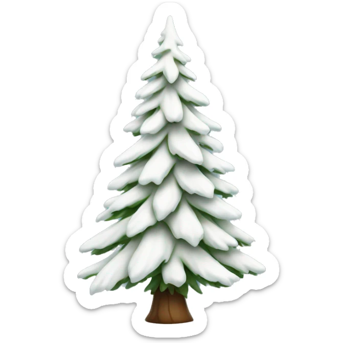  actual white fir christmas tree isolated.  sticker