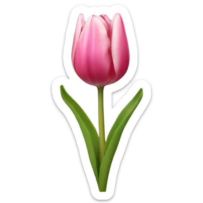 Tulip sticker