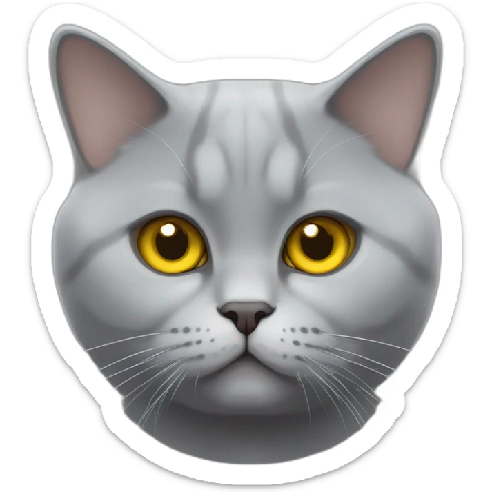 A british shorthair cat in schildpatt with white bless and with yellow eyes sticker