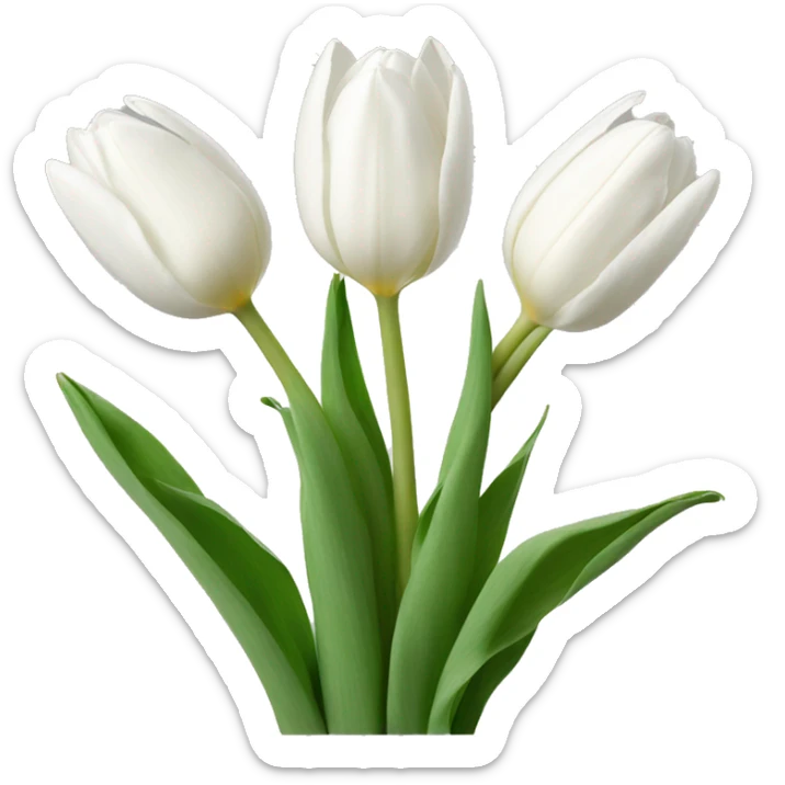 white tulips sticker