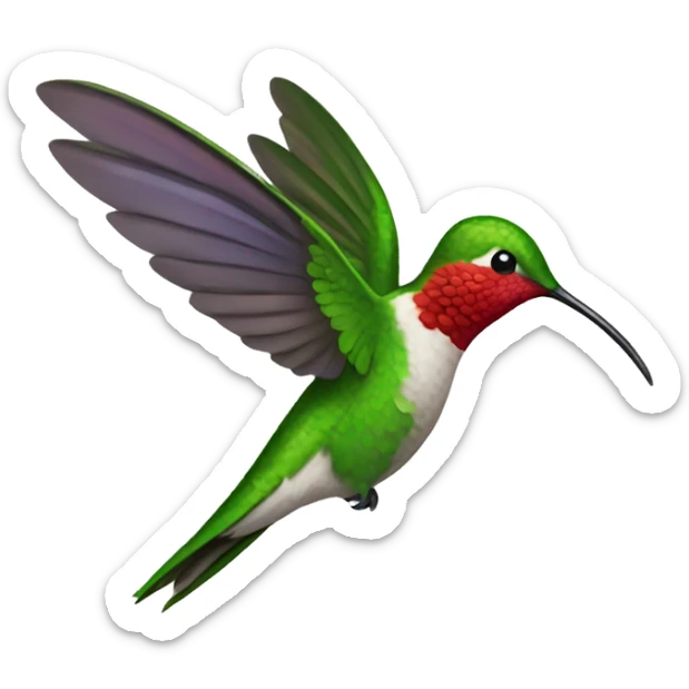Hummingbird  sticker