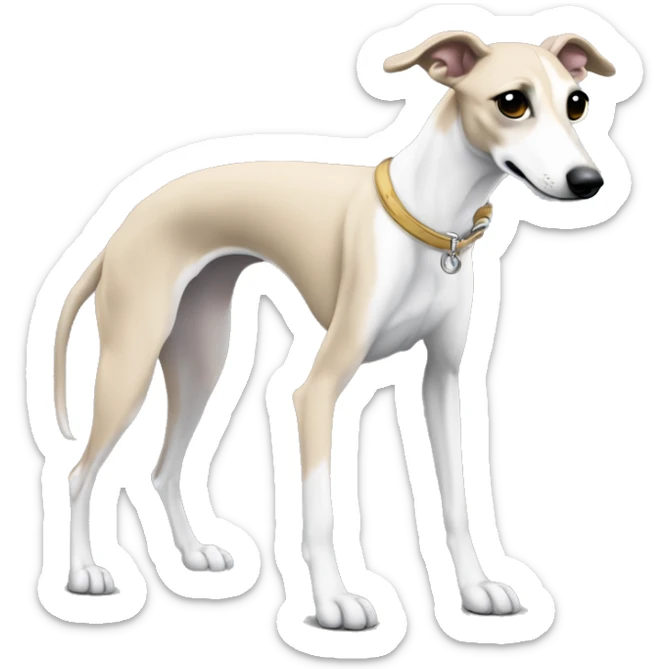 a beige whippet full body with his left foot white color up up and a leash going out of frame, with a dark snout, black and white mouth patchy and black angel wing like eyes sticker