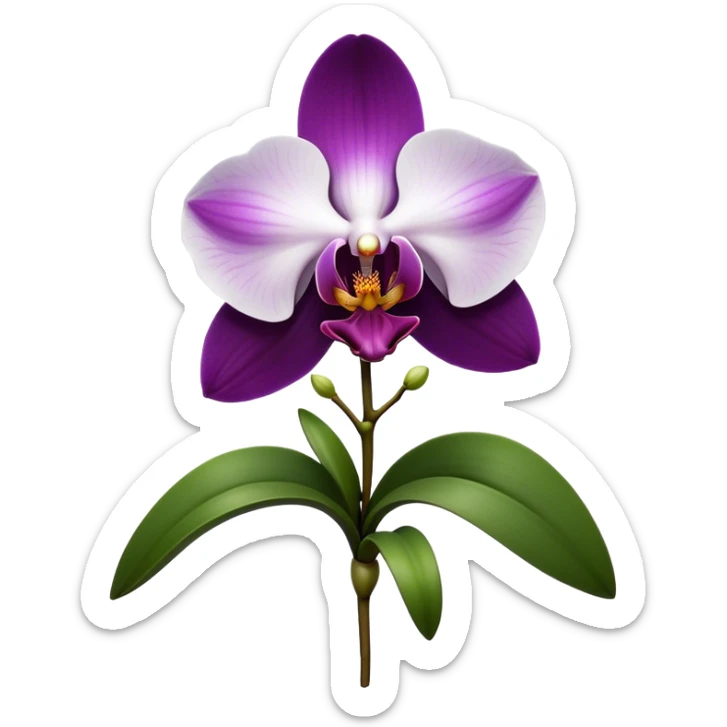 Cinematic Realistic Orchid Emoji, Exotic and elegant, with intricate, velvety petals in deep purple and white, forming a delicate and symmetrical blossom. The slender green stem holds the flower high, while surrounding leaves add lush contrast. Soft glowing outline, capturing the essence of rare beauty and sophistication in a captivating orchid. sticker