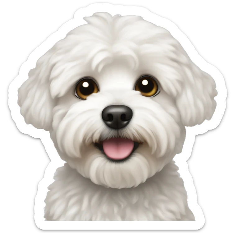 White Maltipoo sticker