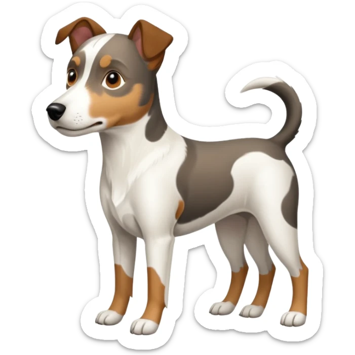 a full body large white parson russell looking dog the size of a kelpie with light brown ears and a light brown patch on one eye and a large snout sticker
