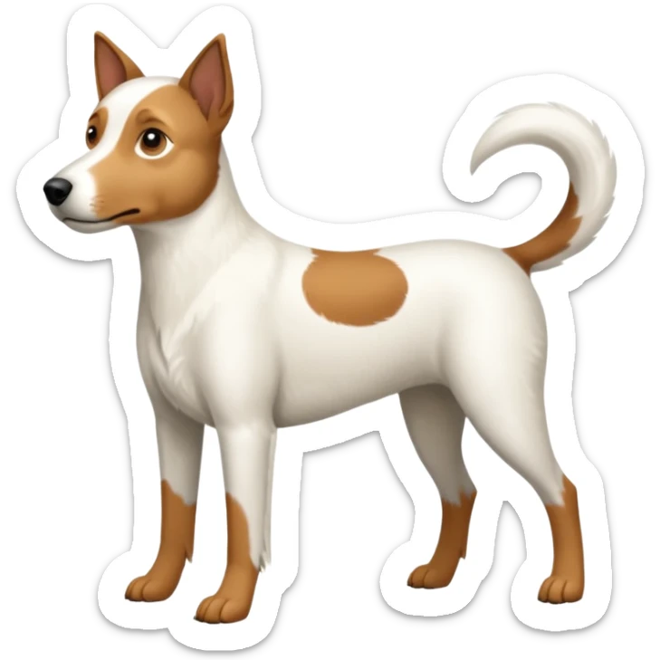 a full body large white parson russell looking dog the size of a kelpie with light brown flopped down ears and a light brown patch on one eye and a large snout sticker