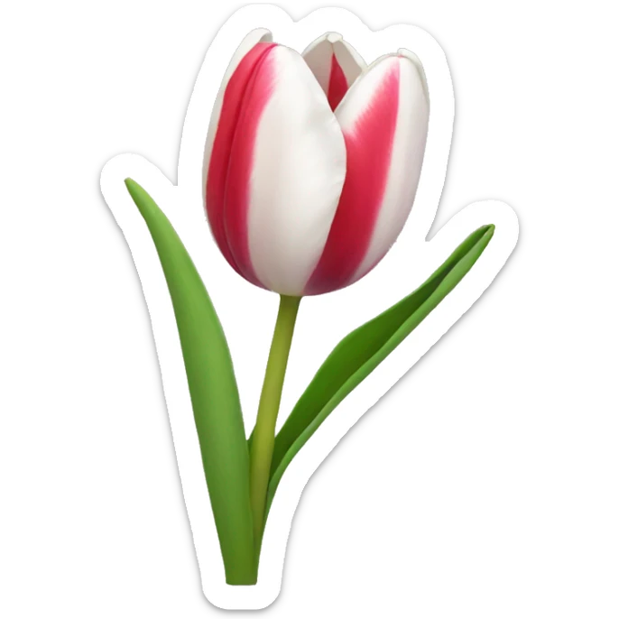 Tulip sticker