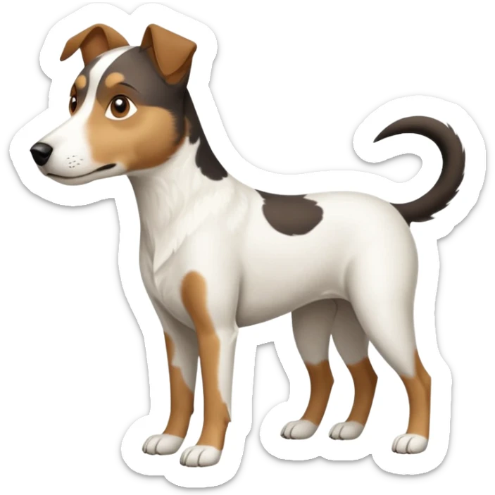 a full body large white parson russell looking dog the size of a kelpie with light brown flopped down ears and a light brown patch on one eye and a large snout sticker