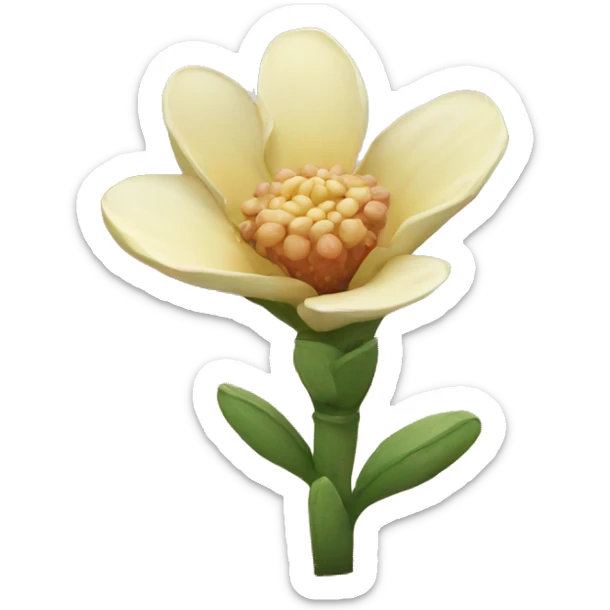 Desert flower sticker