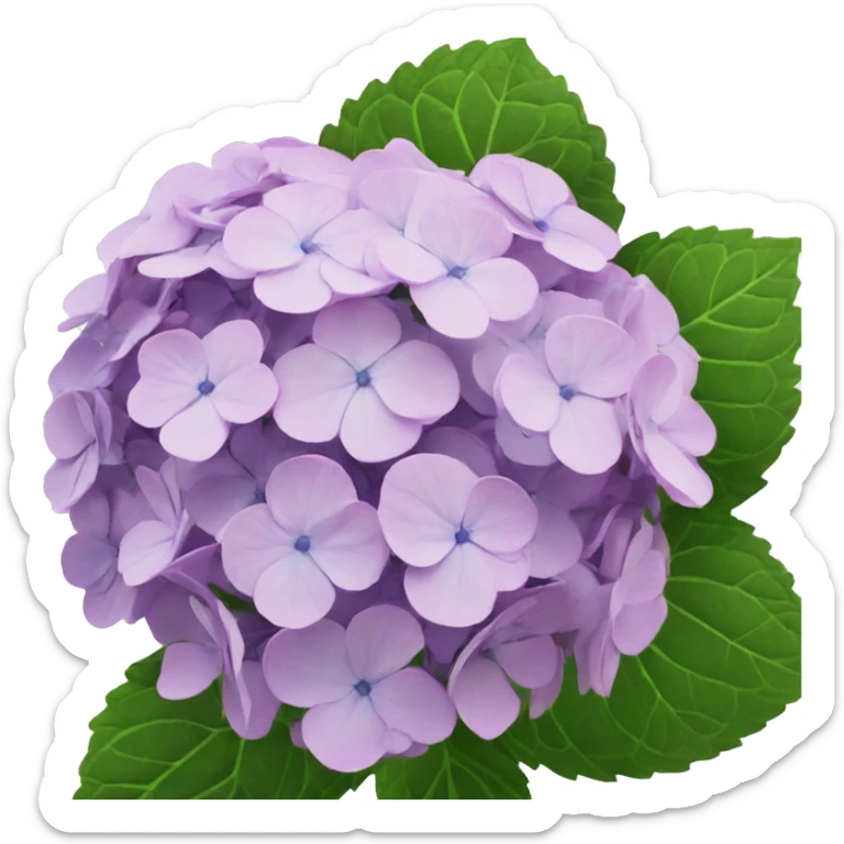 hydrangea sticker