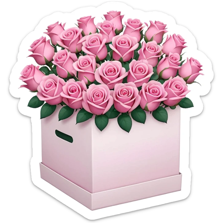 bouquet of pink 30 roses in a white box，no leaves sticker