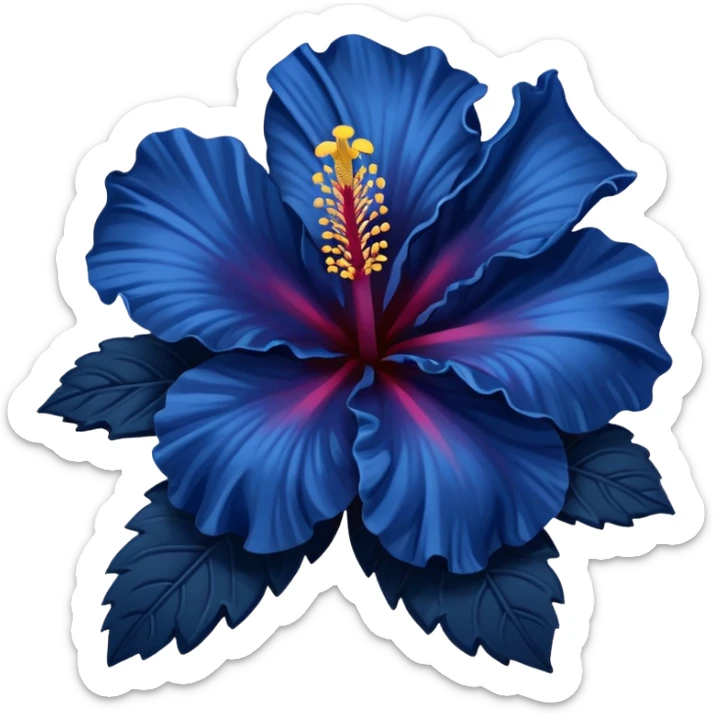 very Dark blue flower hibiscus only colour blue no pink or yellow  sticker