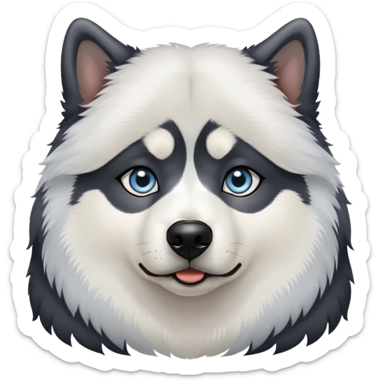 Black Alaskan Malamute dog with heterochromia, one brown eye and one light blue eye sticker