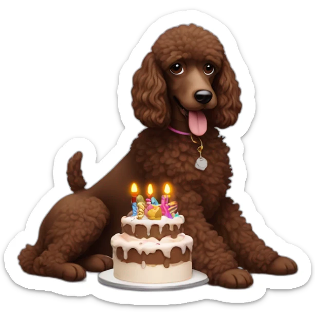 Snoop dog with a chocolate brown poodle dog. He has a birthday cake sticker