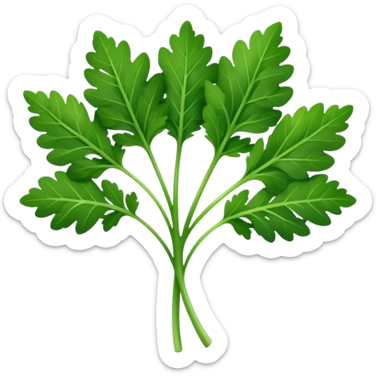 single fresh parsley leaf, bright green, detailed serrated edges, delicate natural curves, slight gloss on surface, fine central vein structure, gently branching lobes, no stem bunch, no background, soft lighting, subtle shadows, emoji scale sticker