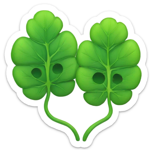 xhylem and phloem  sticker