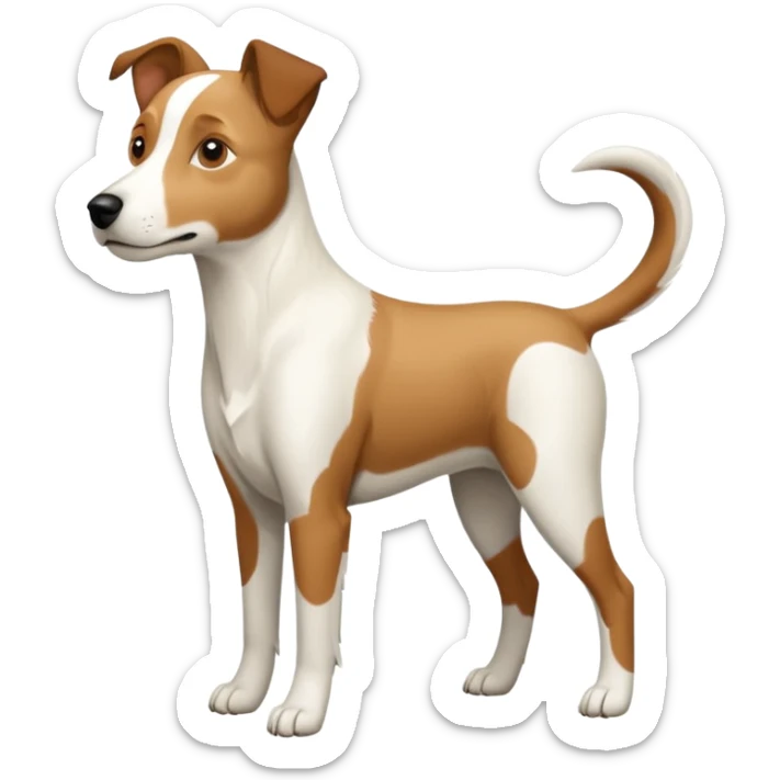 a full body large white parson russell looking dog the size of a kelpie with light brown ears and a light brown patch on one eye and a large snout sticker