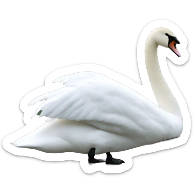 Swan  sticker