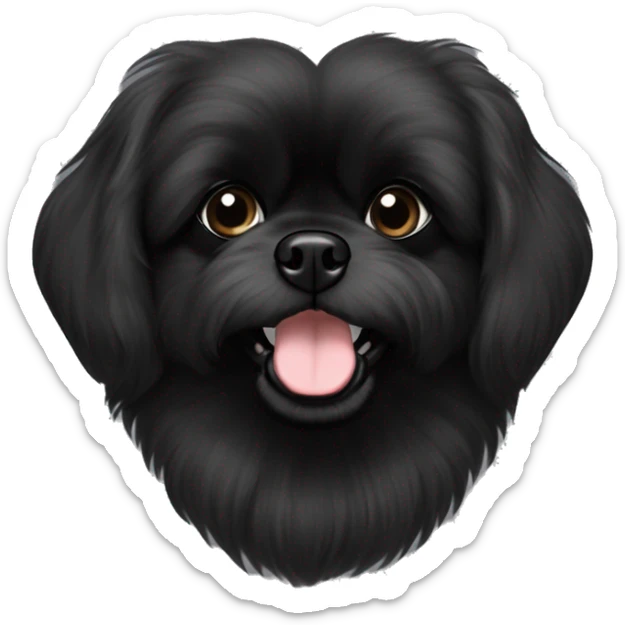 Pekingese poodle mix. All black in color everywhere. No other color. Extreme underbite with teeth showing  sticker