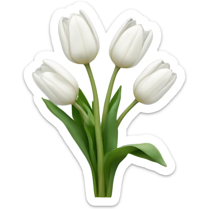 White tulips sticker