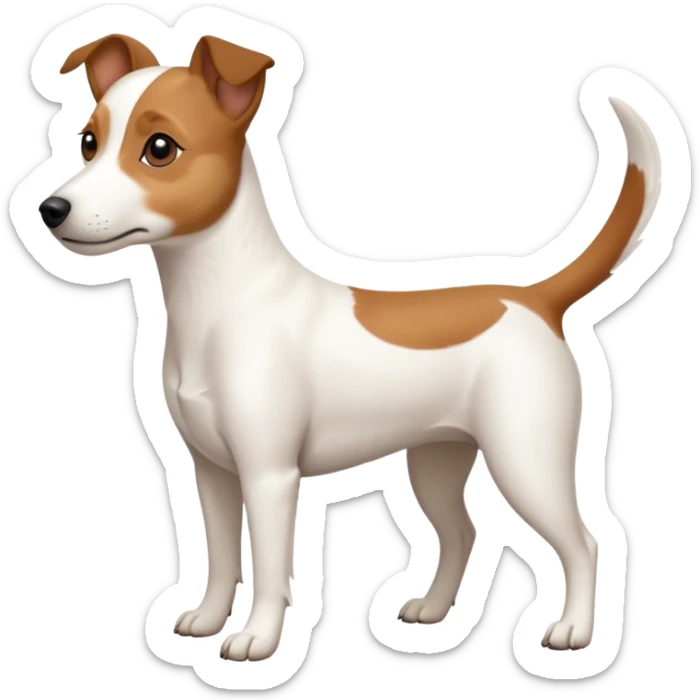 a full body white jack russel looking dog the size of a kelpie with light brown ears and a light brown patch on one eye and a large snout sticker