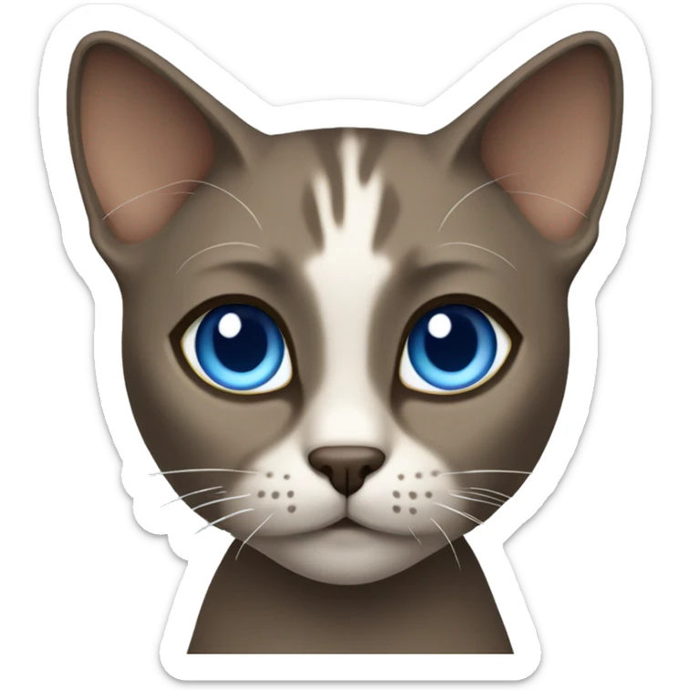 Dark Brown face - beige body and ears female thai cat with blue eyes  sticker