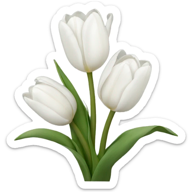 White tulips sticker