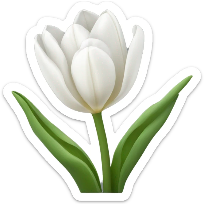 White tulips sticker