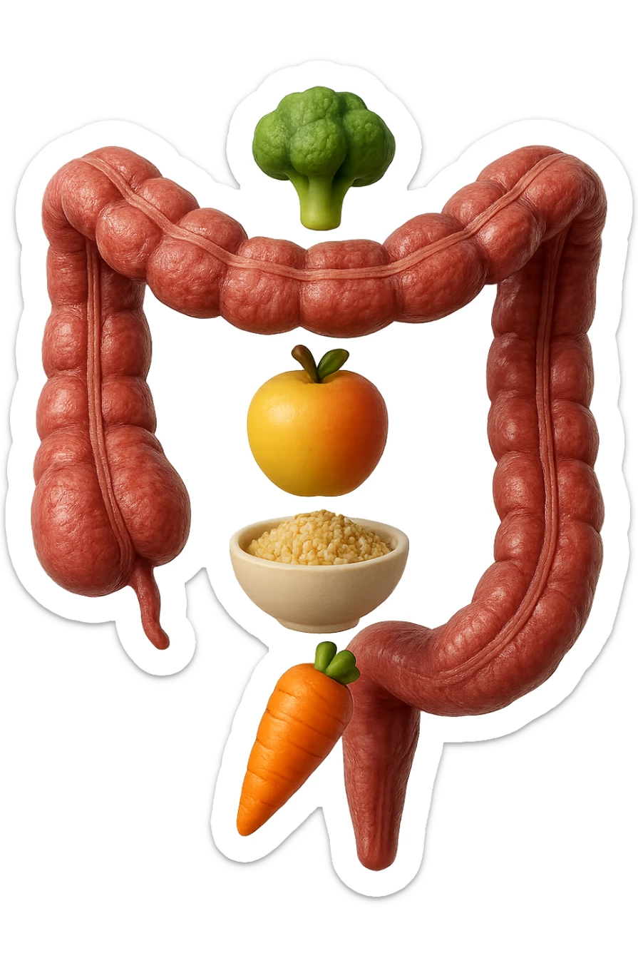 emoji stile iphone in 3d di cibo sano che fluttua in aria vericalmente insieme a pezzi di colon umano anatomico, iperrealistico 4k sticker
