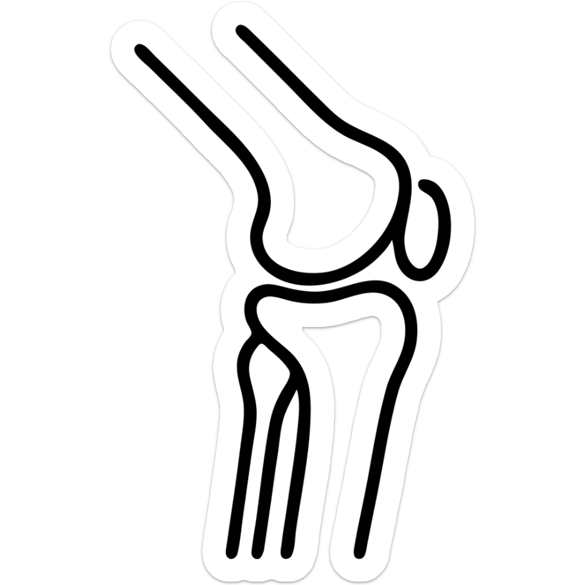 detailed medical illustration of knee bones and joint anatomy sticker