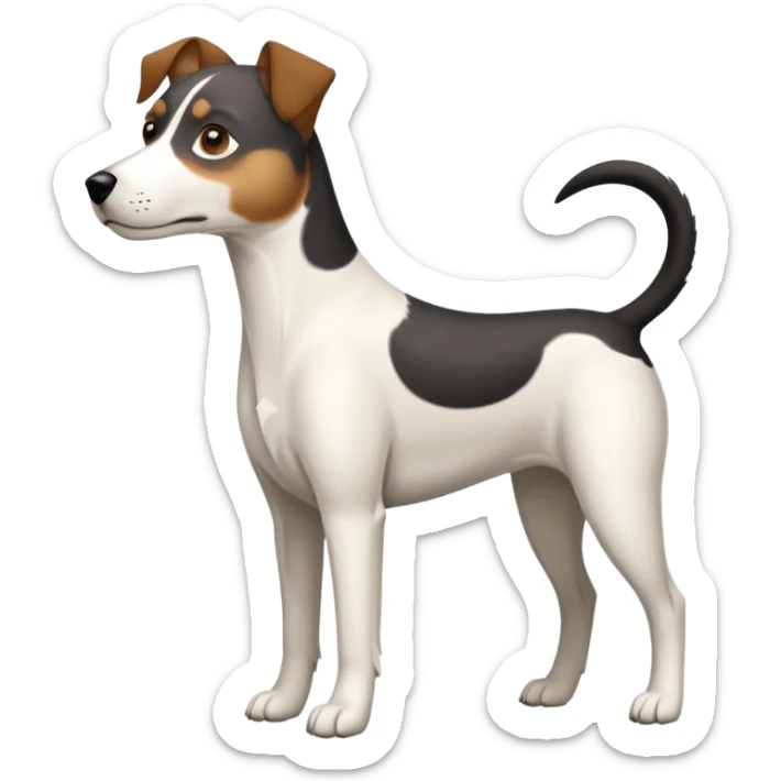a full body large white parson russell looking dog the size of a kelpie with light brown ears and a light brown patch on one eye and a large snout sticker