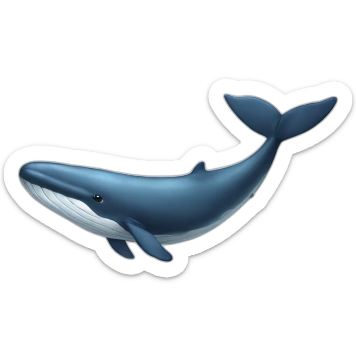 whale sticker