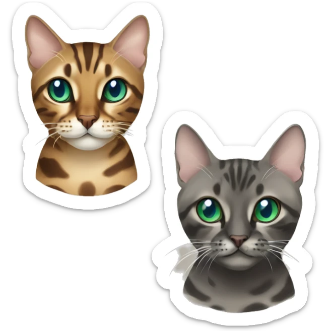 Seal Bengal cat with Blue eyes + charcoal Sepia bengal cat with Green eyes sitting  sticker