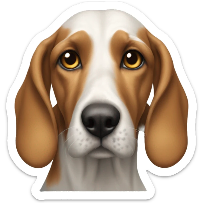 Realistic istrian hound  sticker