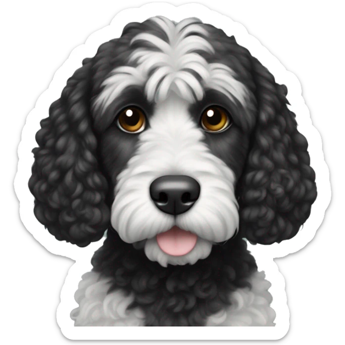 Black cockapoo dog with a white big stripe from the chin to the belly. The moustache is also black sticker