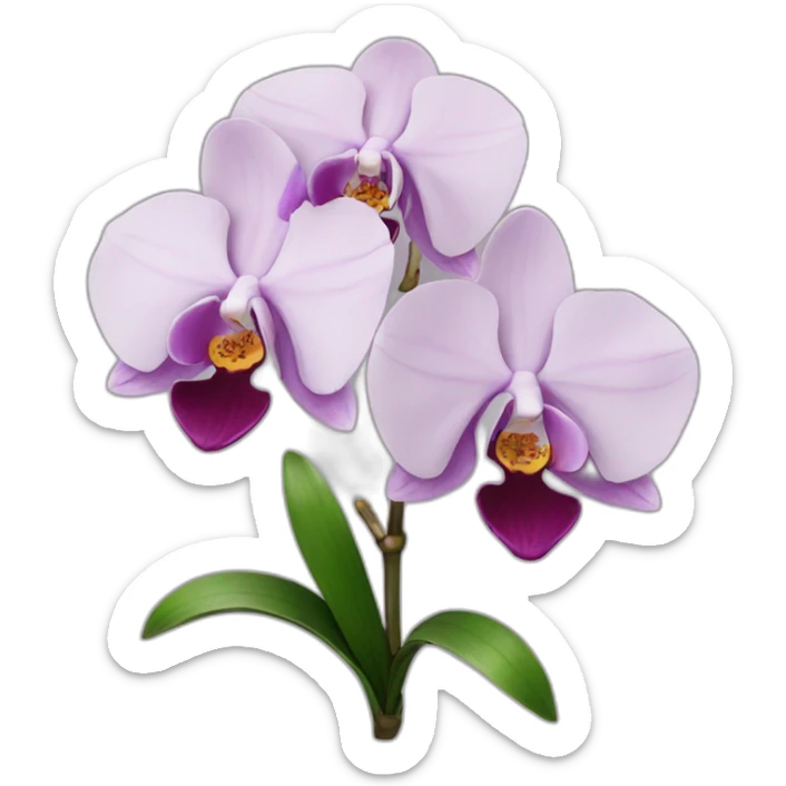 Orchid sticker