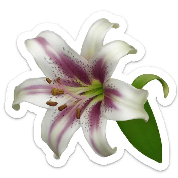 Lily  sticker