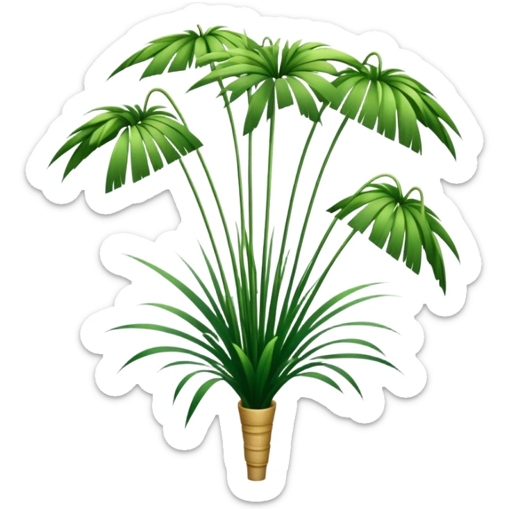 Tall reed-like papyrus plant with feathery tops, green stems and umbrella-shaped foliage sticker
