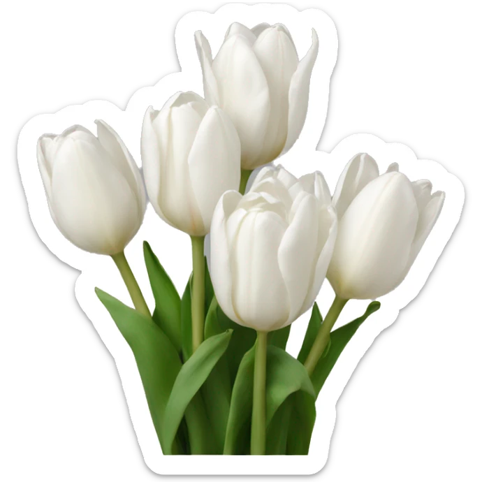 white tulips sticker