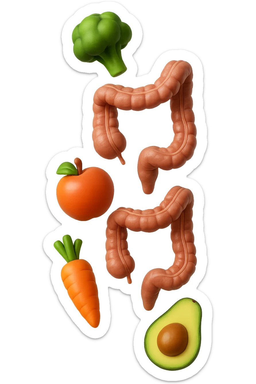 emoji stile iphone in 3d di cibo sano che fluttua in aria vericalmente insieme a pezzi di colon umano anatomico, iperrealistico 4k sticker