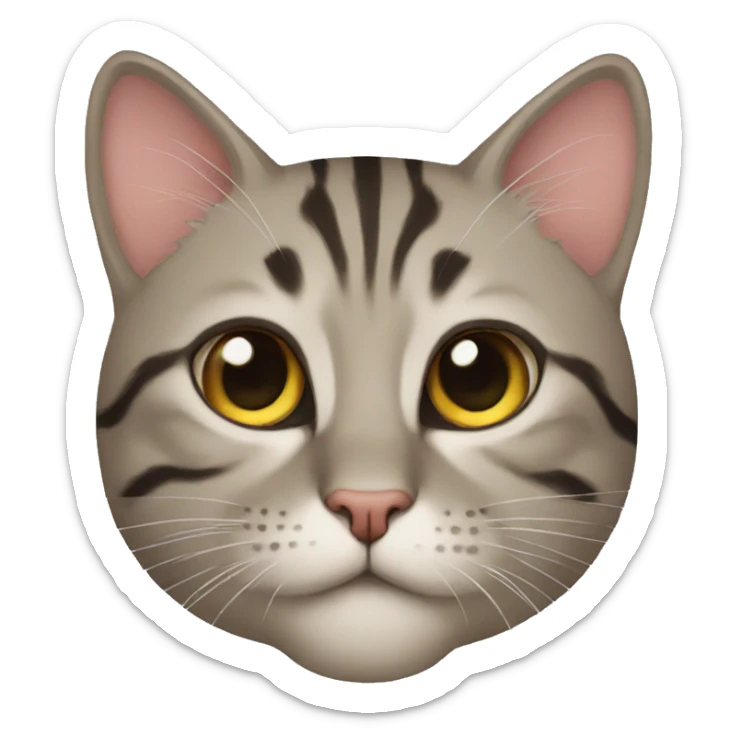 Katze sticker