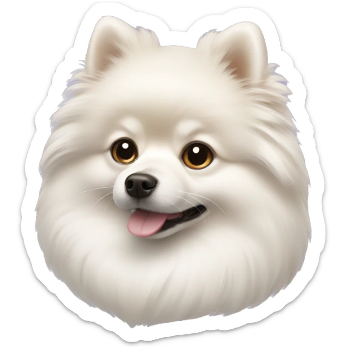 White Pomeranian  sticker