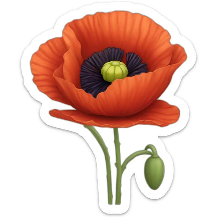 poppy sticker