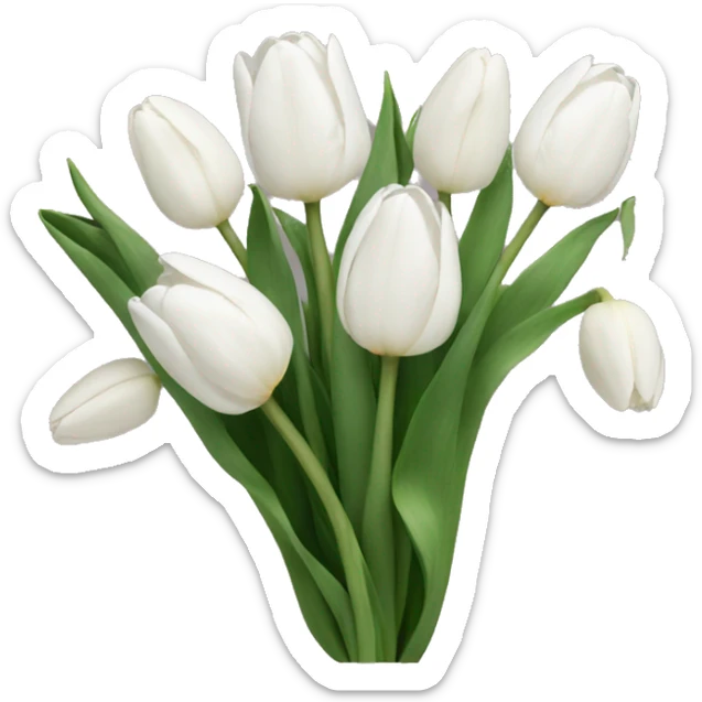 White tulips sticker